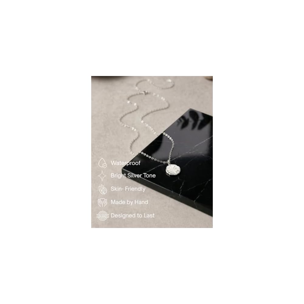 Annika Bella Silver North Star Necklace for Women, Round CZ Star Celestial Pendant, Dainty Waterproof Necklace, Tarnish Resistant Layering Jewelry, Gift for Her